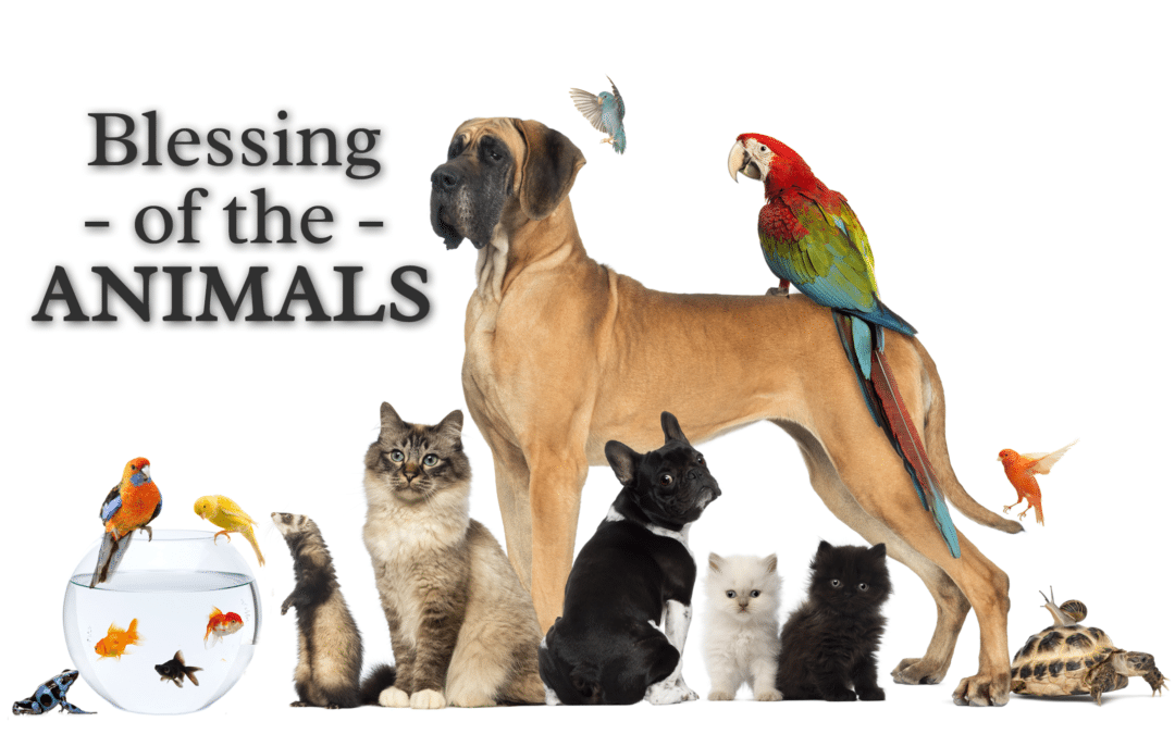 Annual Blessing of the Animals – Church of the Little Flower