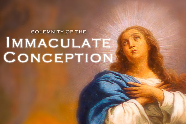 Solemnity of the Immaculate Conception of the Blessed Virgin Mary – Church  of the Little Flower